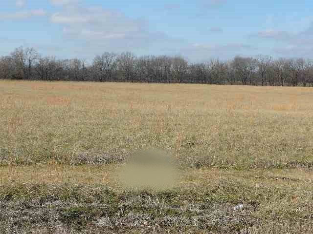 Photo 1 of 1 — 318 Golden Meadow Lane, Ledbetter, KY 42058