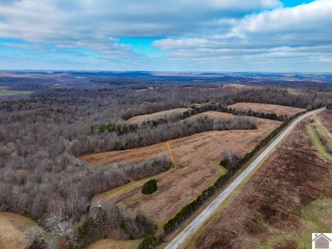 11405 State Route 120 Marion KY 42064