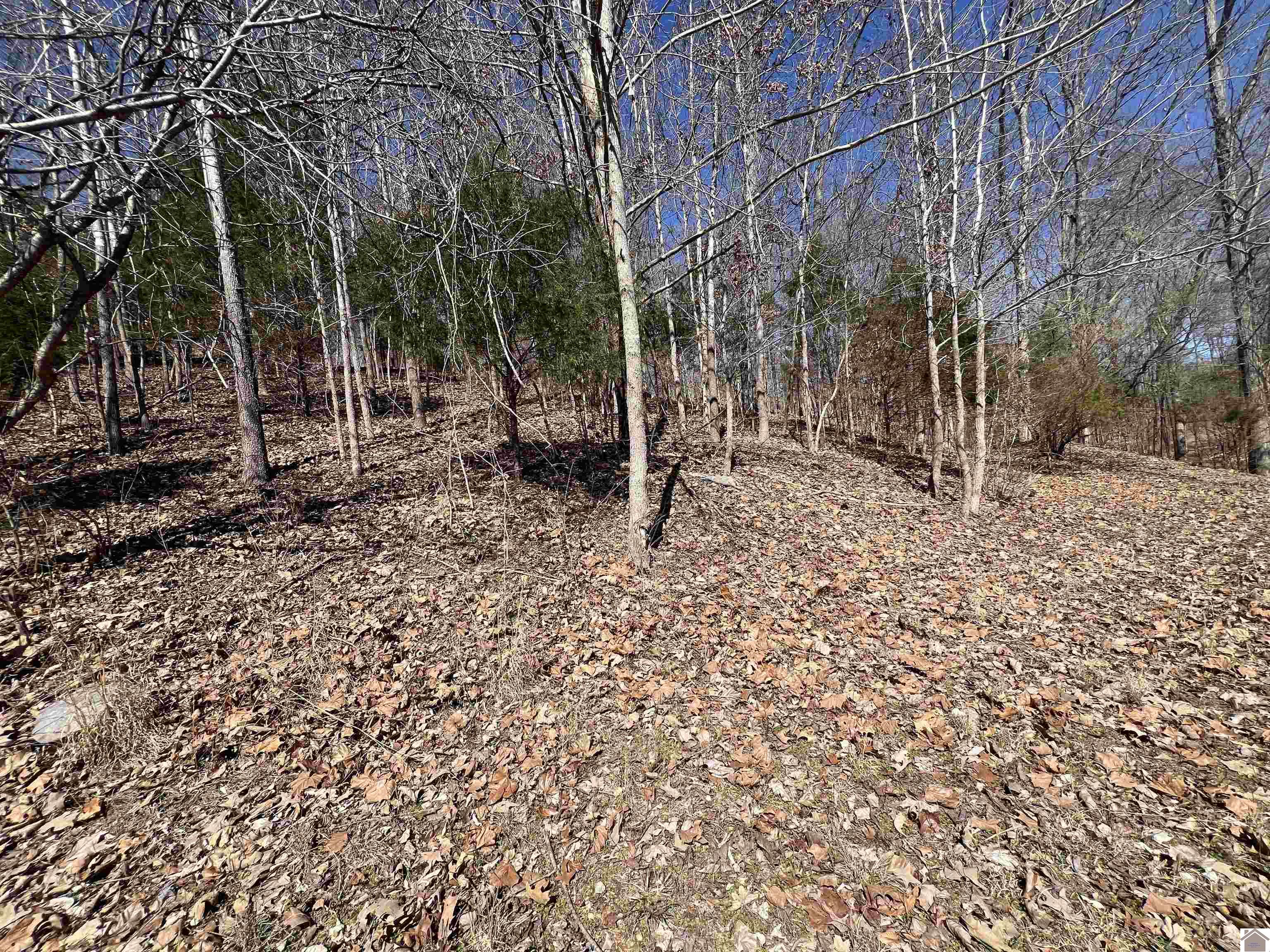 Tract 4 Oak Ridge Road