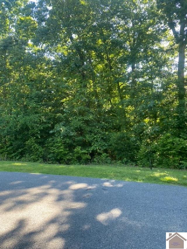 0000 Driftwood Estates Lot #54