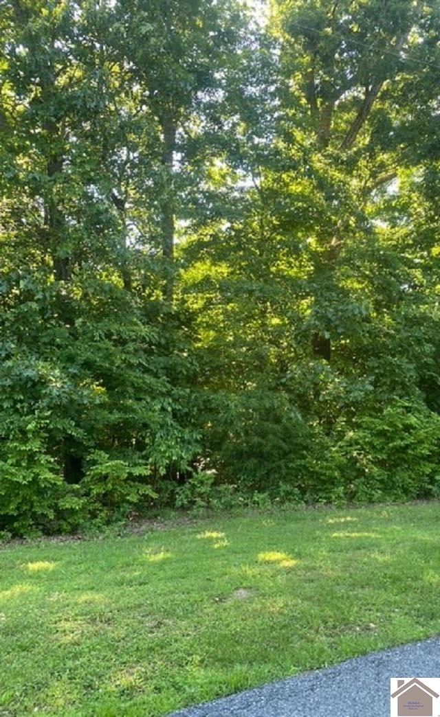 0000 Driftwood Estates Lot #54