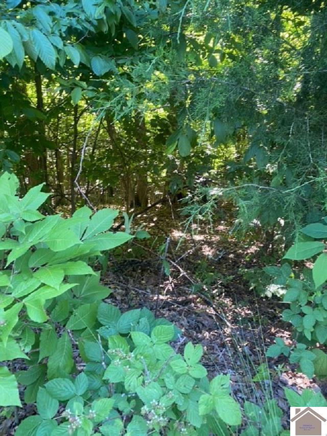 0000 Driftwood Estates Lot #54