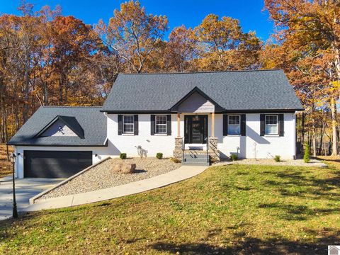67 Casey Lane Benton KY 42025