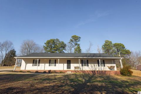 90 Ash Drive Mayfield KY 42066