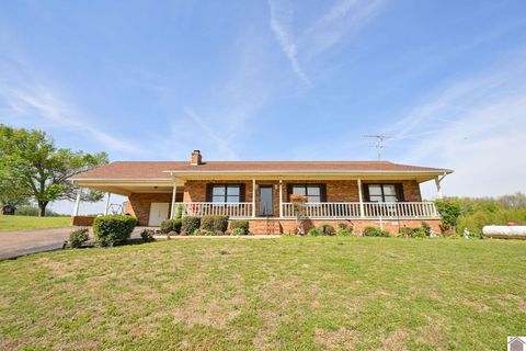 234 McIntyre Road Fulton KY 42041