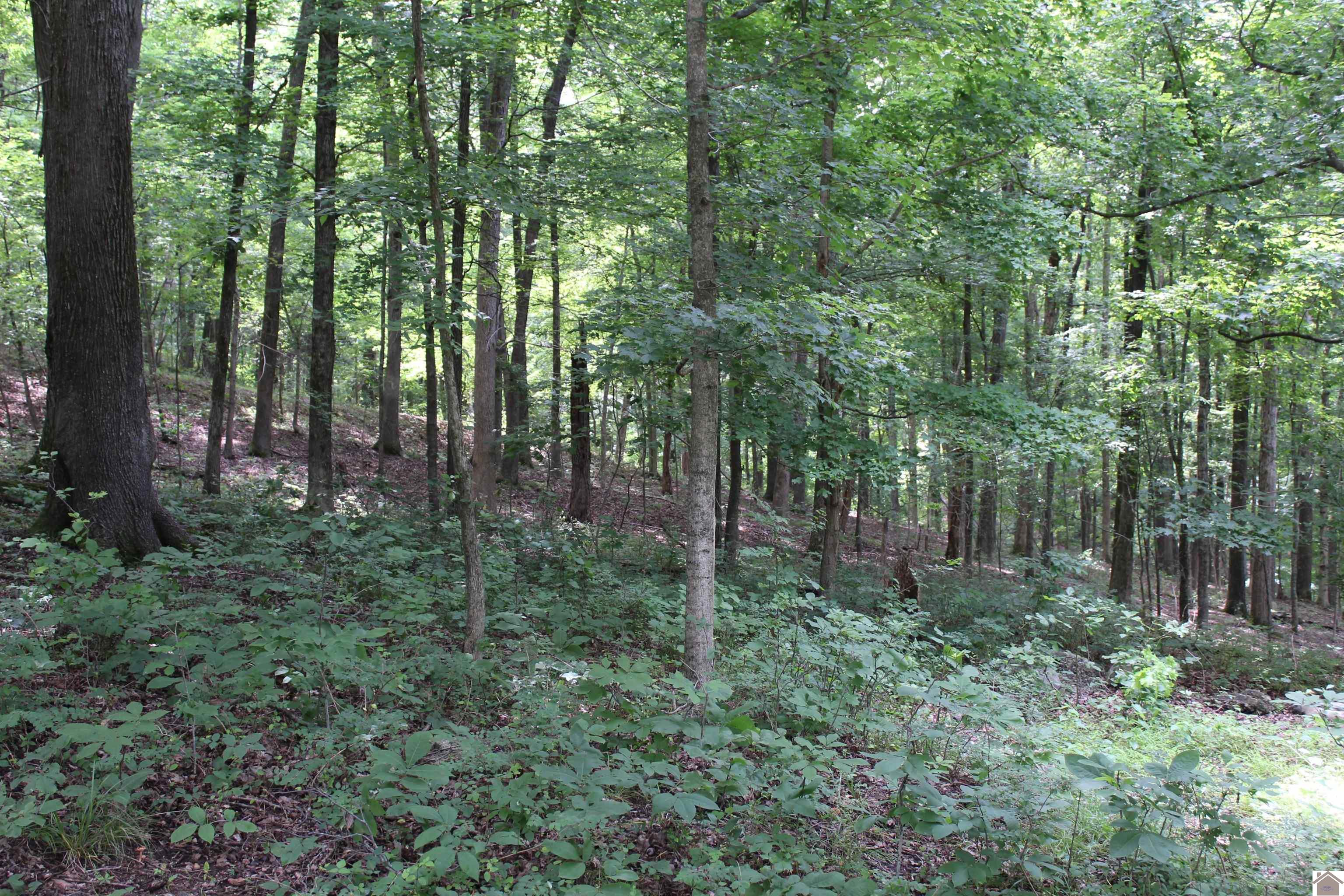 Lot 52 Waterford Way