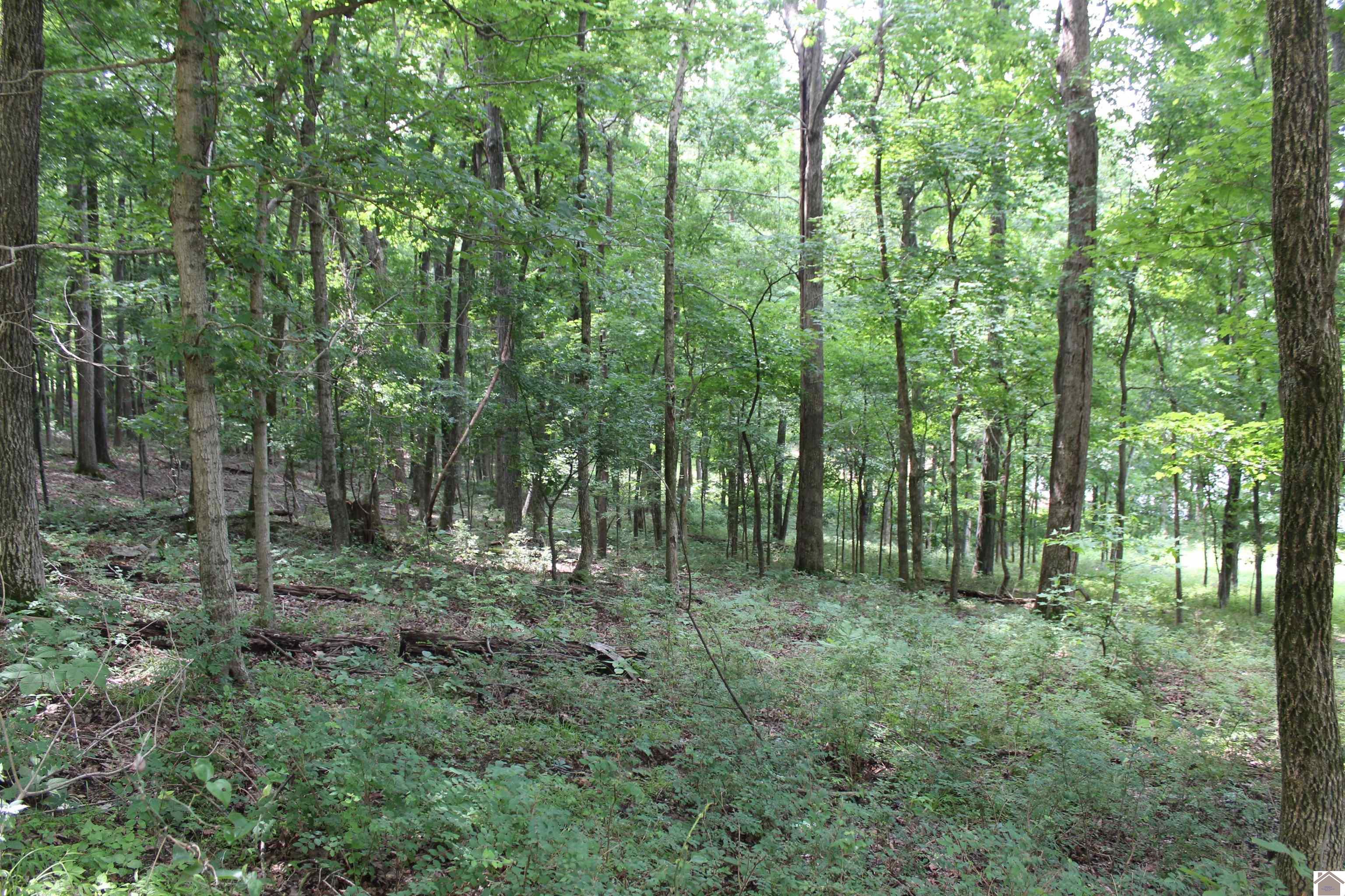 Lot 52 Waterford Way