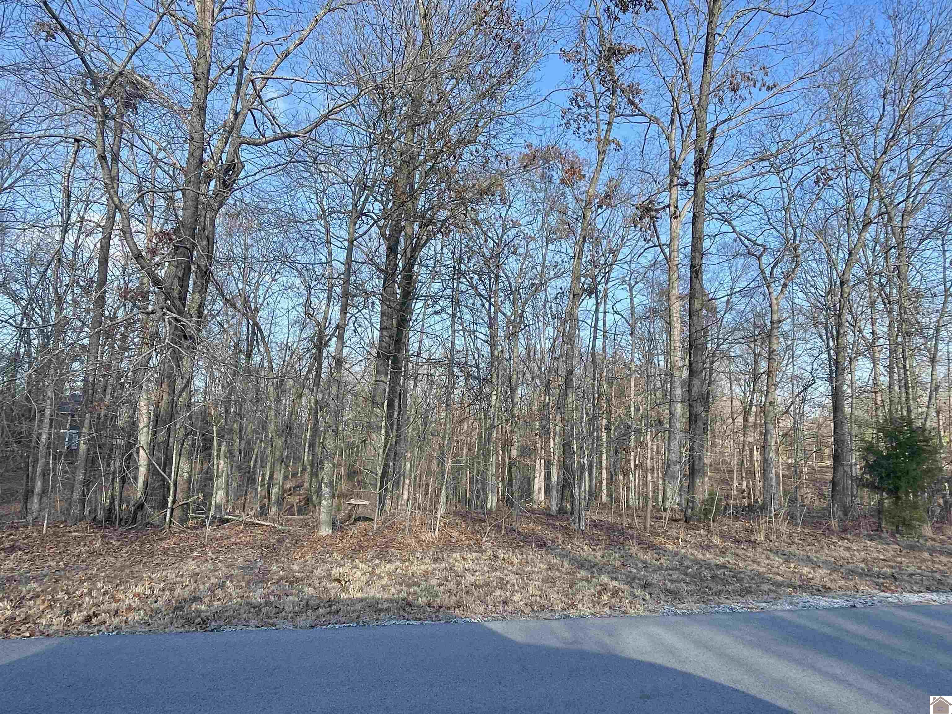Lot 95 Deepwood Drive
