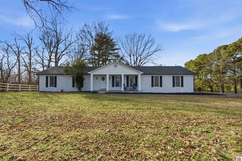 5347 State Route 303 Mayfield KY 42066