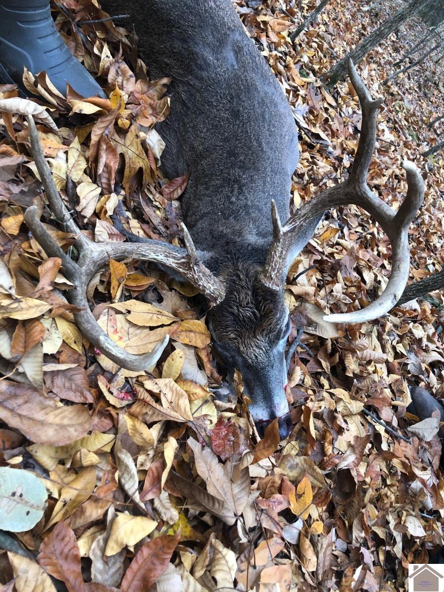 1012 Crayne Cemetery Road