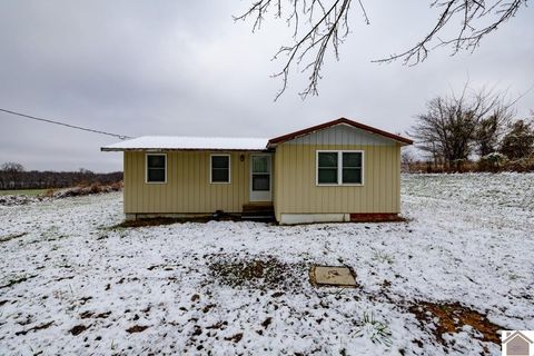 1012 Crayne Cemetery Road Marion KY 42064