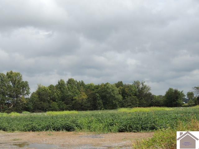Photo 1 of 2 — St Rt 121 Bypass and Douthitt St, Mayfield, KY 42066