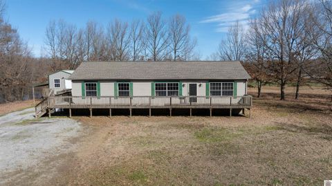 466 Turner Landing Rd Barlow KY 42024