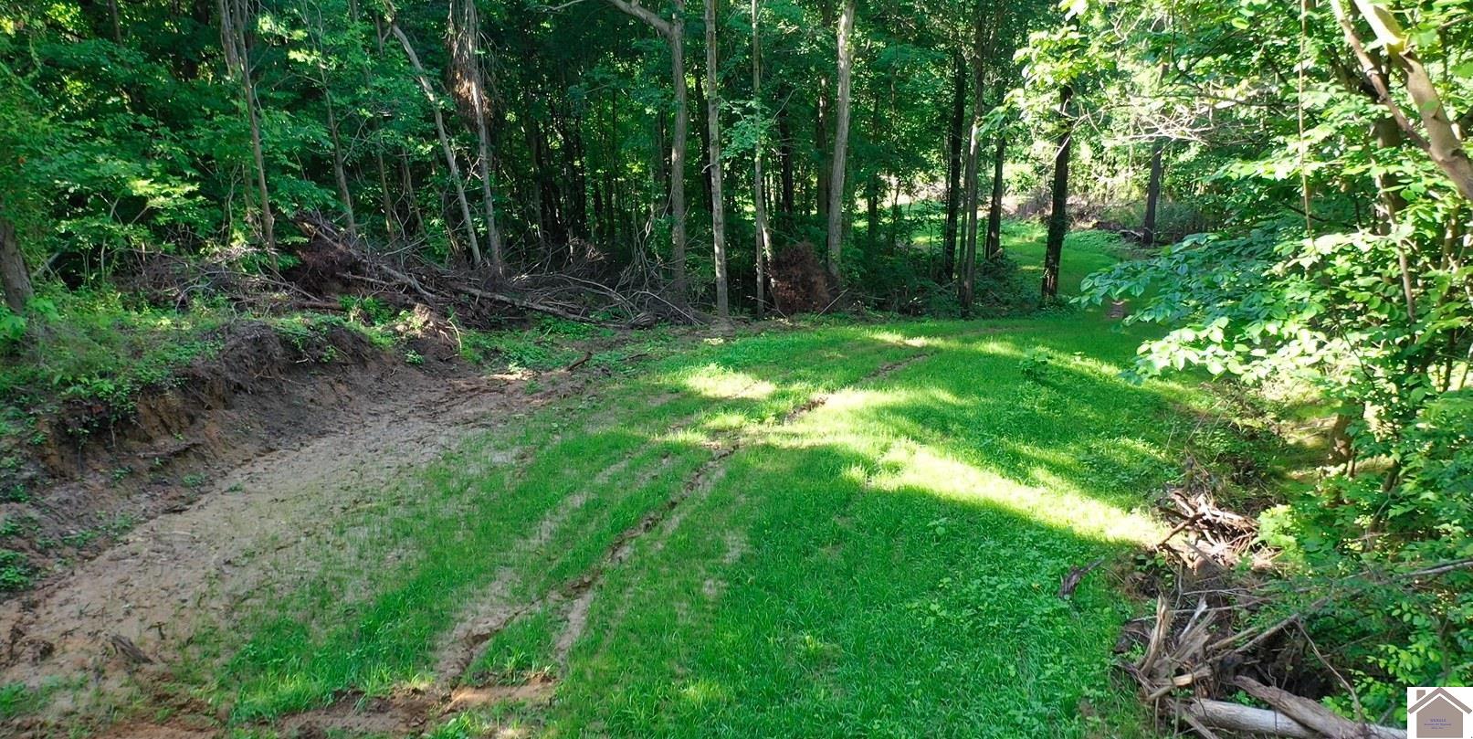 000 Sandy Branch Road