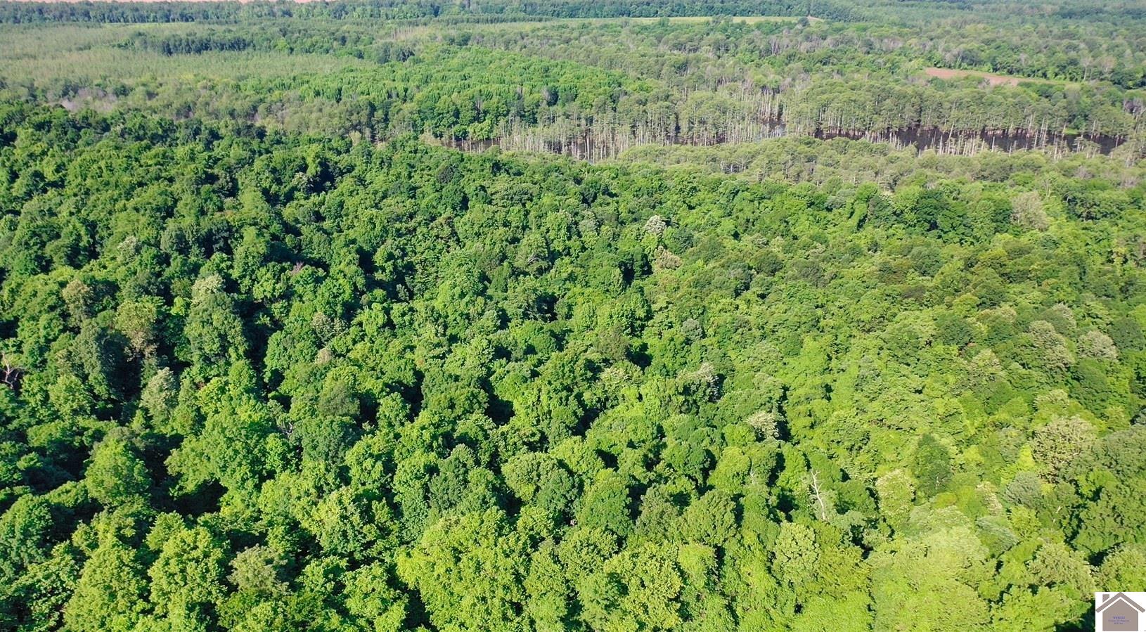 000 Sandy Branch Road