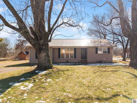 27 Christian Lane Hazel KY 42049