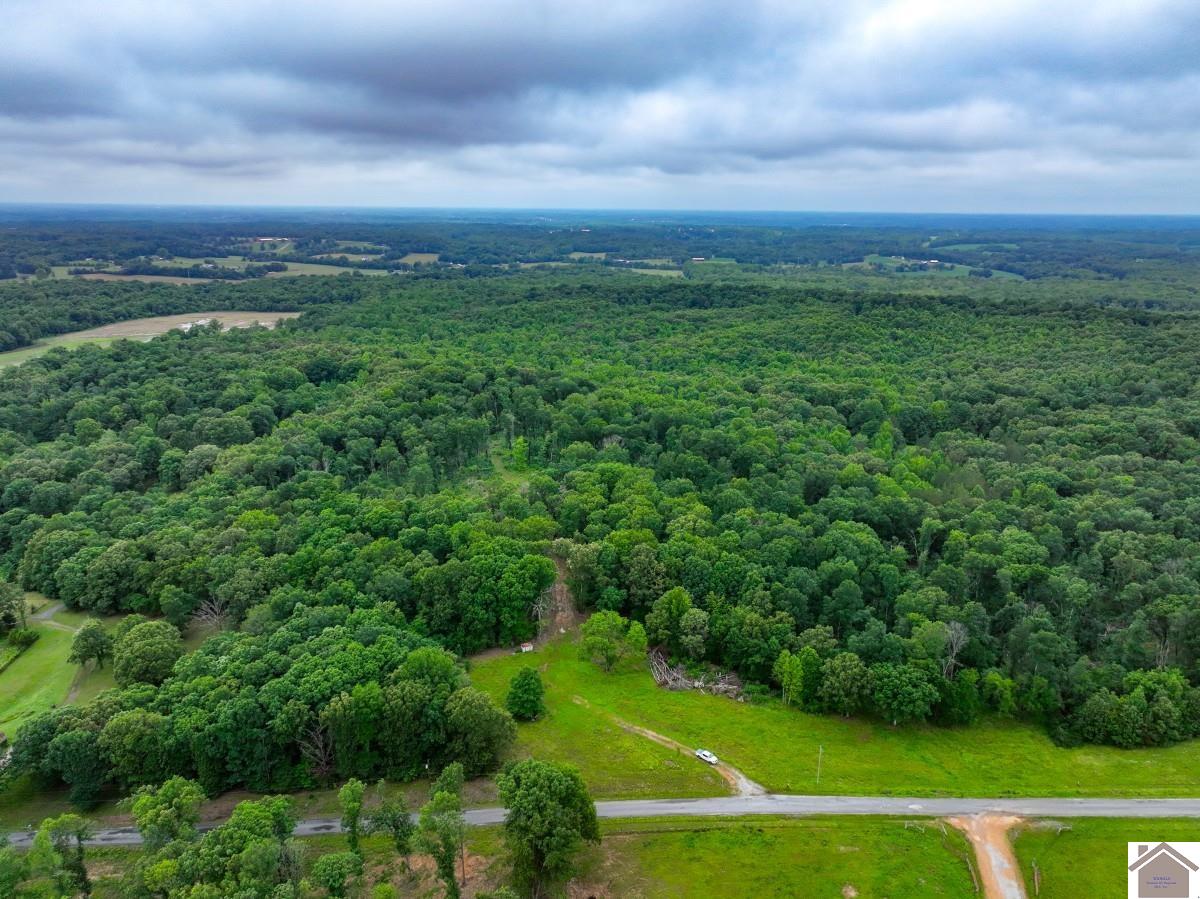 Photo 1 of 33 — 665 Goodwin Drive, Dexter, KY 42036