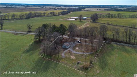 4630 St. Rt. 288 Clinton KY 42031