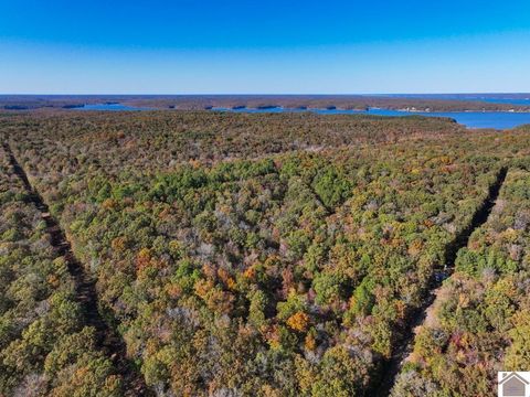 000 Jennings Trail New Concord KY 42076