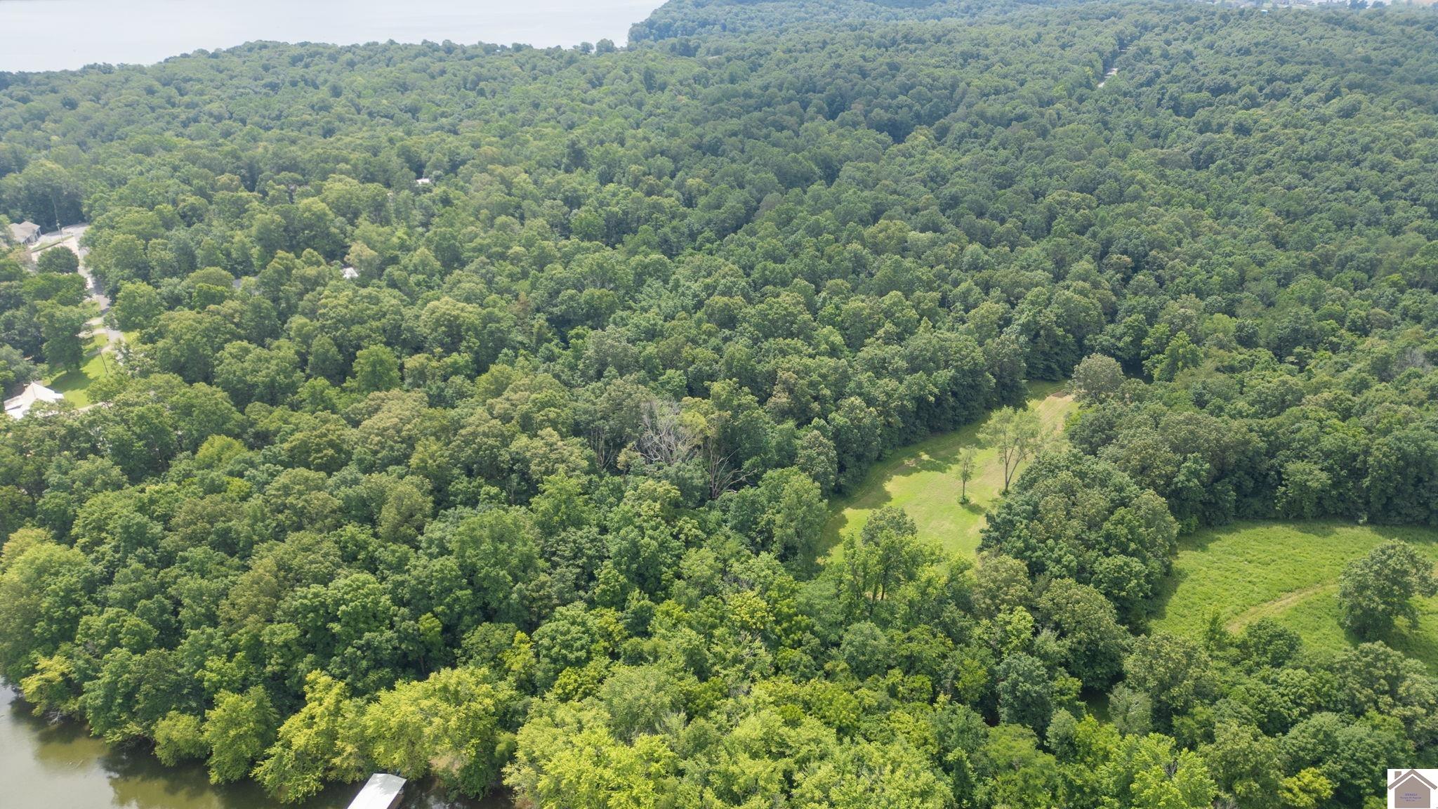 Champion Hills Lots 31,32,33
