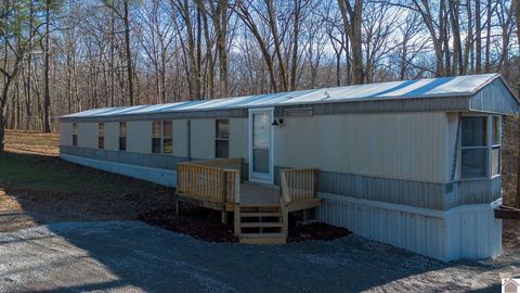 243 Shelton Ln. Hardin KY 42048