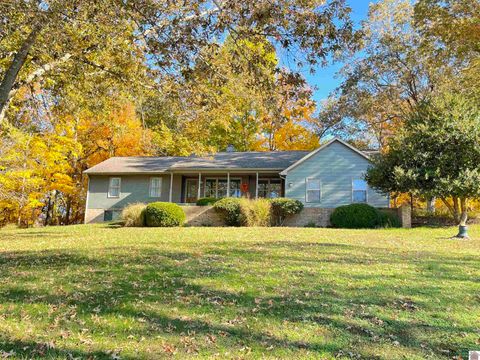 471 Solomon Drive Cadiz KY 42211