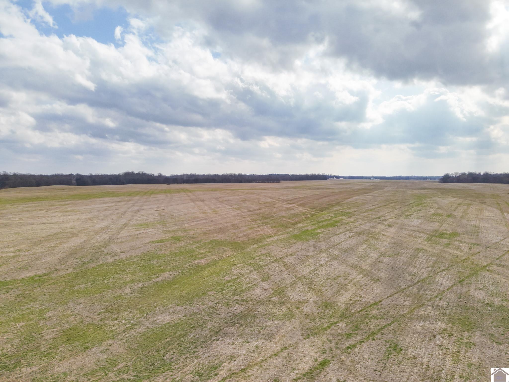 11025 Old Highway 60