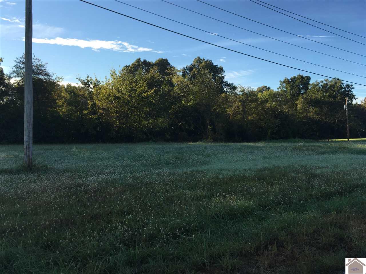 Photo 1 of 5 — 0000 Access Rd., Benton, KY 42025