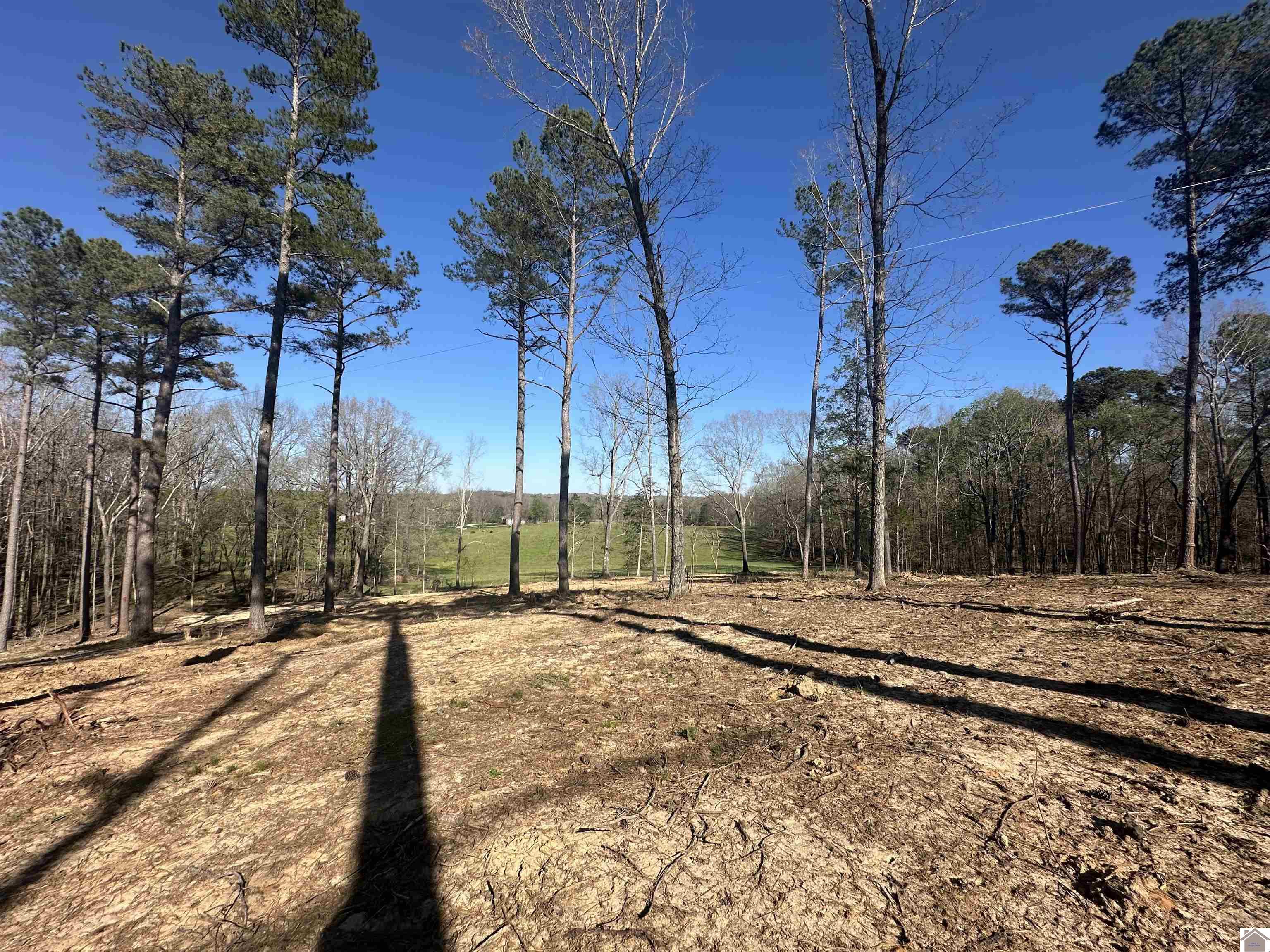 00 Beechy Creek Ln