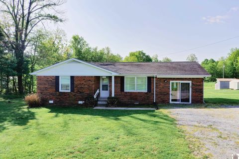 683 Sulphur Springs Cemetery Rd Marion KY 42064