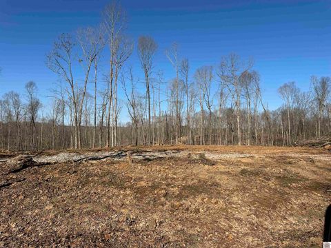 00 Beal Rd. Hardin KY 42048