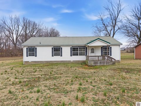 1080 St Rt 1241 Mayfield KY 42066
