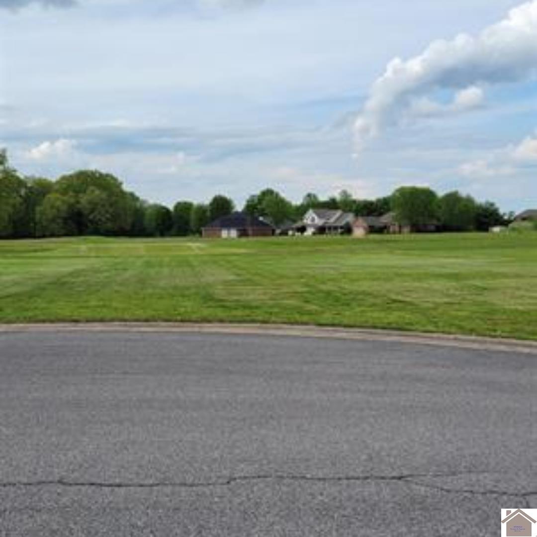 Lot 11 Doral Court - Photo 2