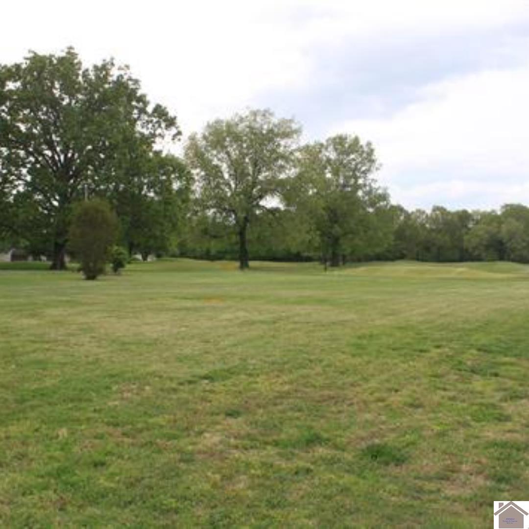 Lot 11 Doral Court - Photo 4