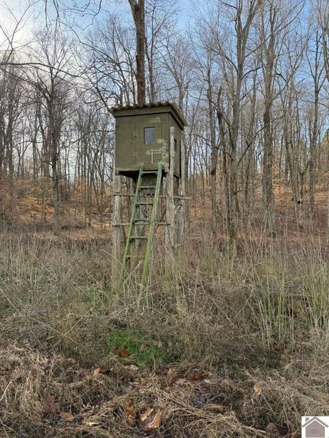 2052 OLNEY rd Princeton KY 42445