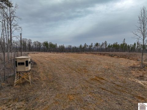 000 Cedar Grove Road Salem KY 42078