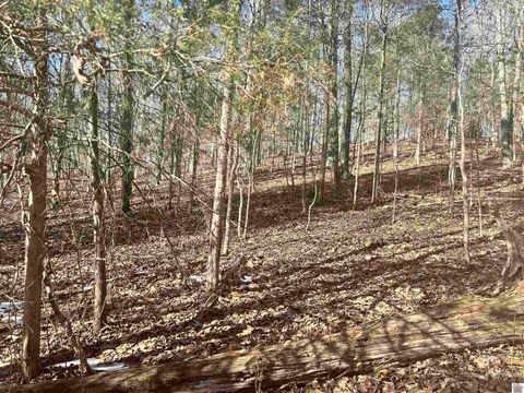 lots 34&35 Canton Heights 2 Cadiz KY 42211