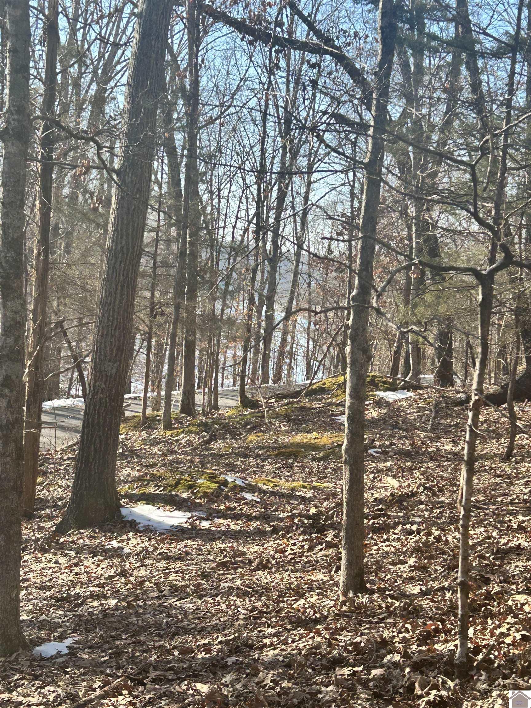 lots 34&35 Canton Heights 2