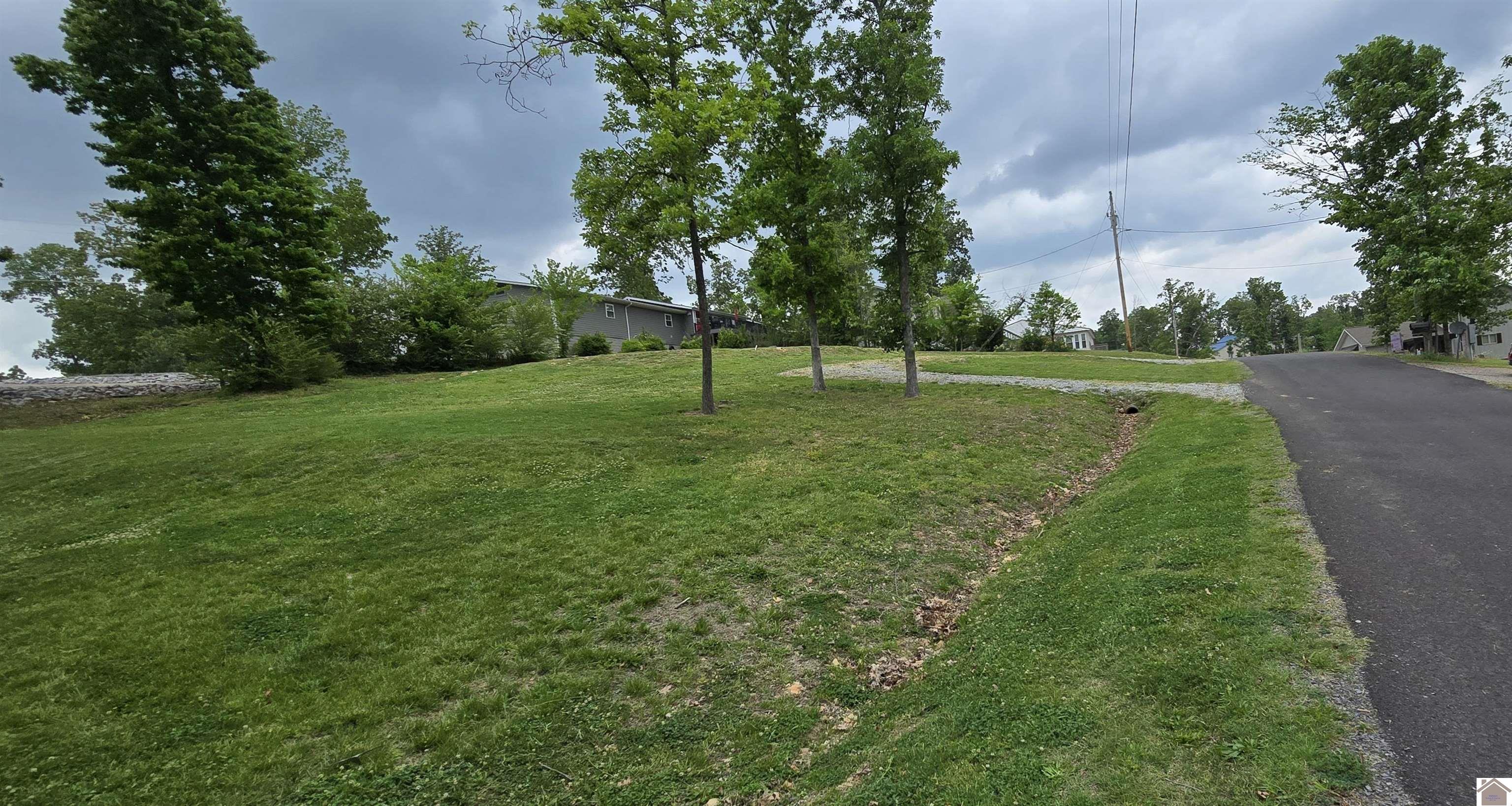 Photo 1 of 20 — 53 Knox Drive, Gilbertsville, KY 42044