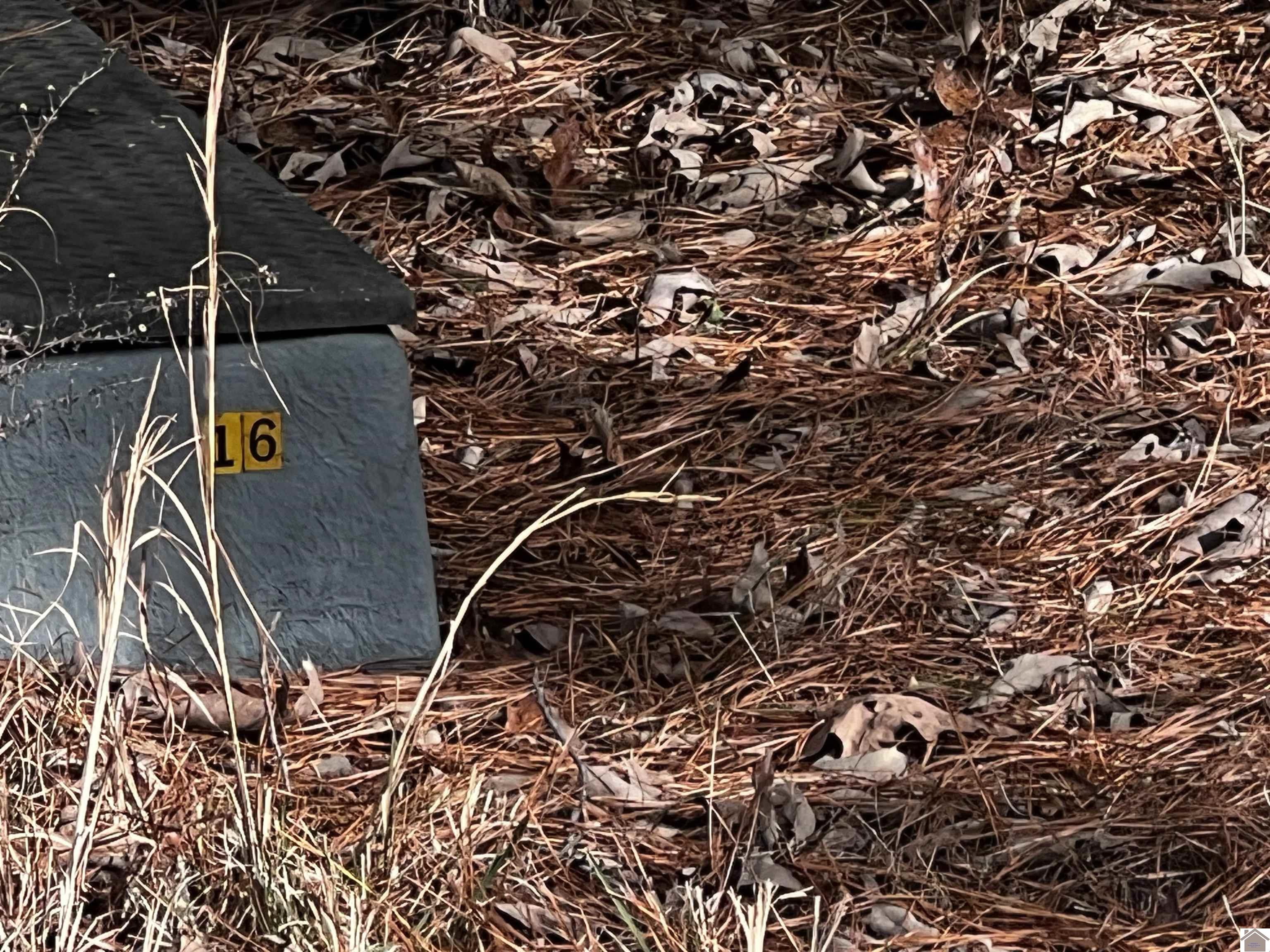 Lot 16 Hills Hollow Rd.