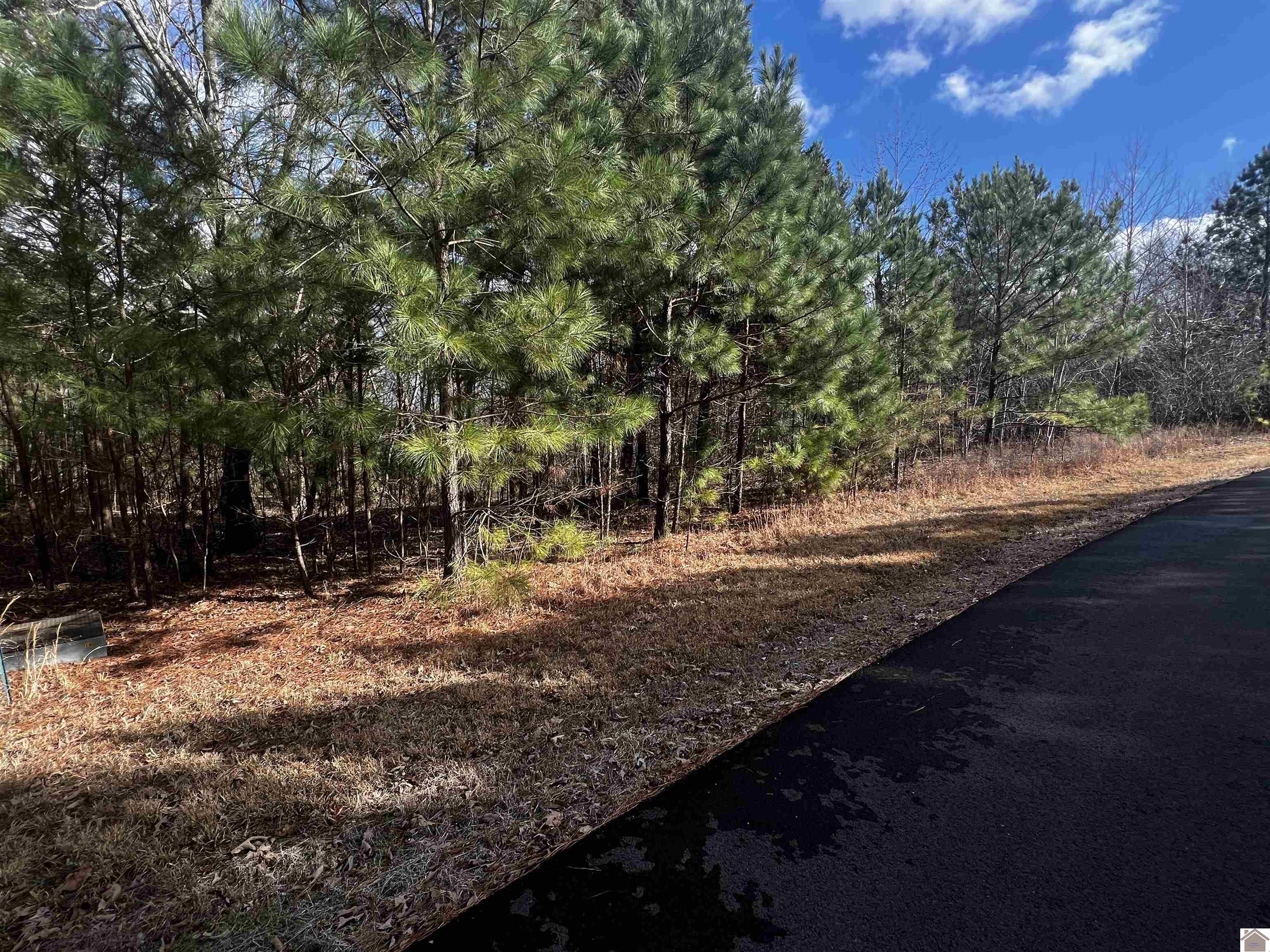 Lot 16 Hills Hollow Rd.