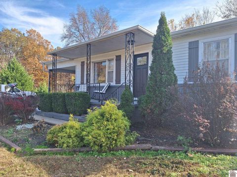 137 Ridge Grand Rivers KY 42045