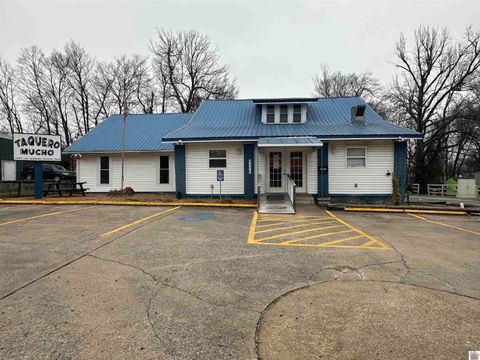 1023 W Broadway Mayfield KY 42066