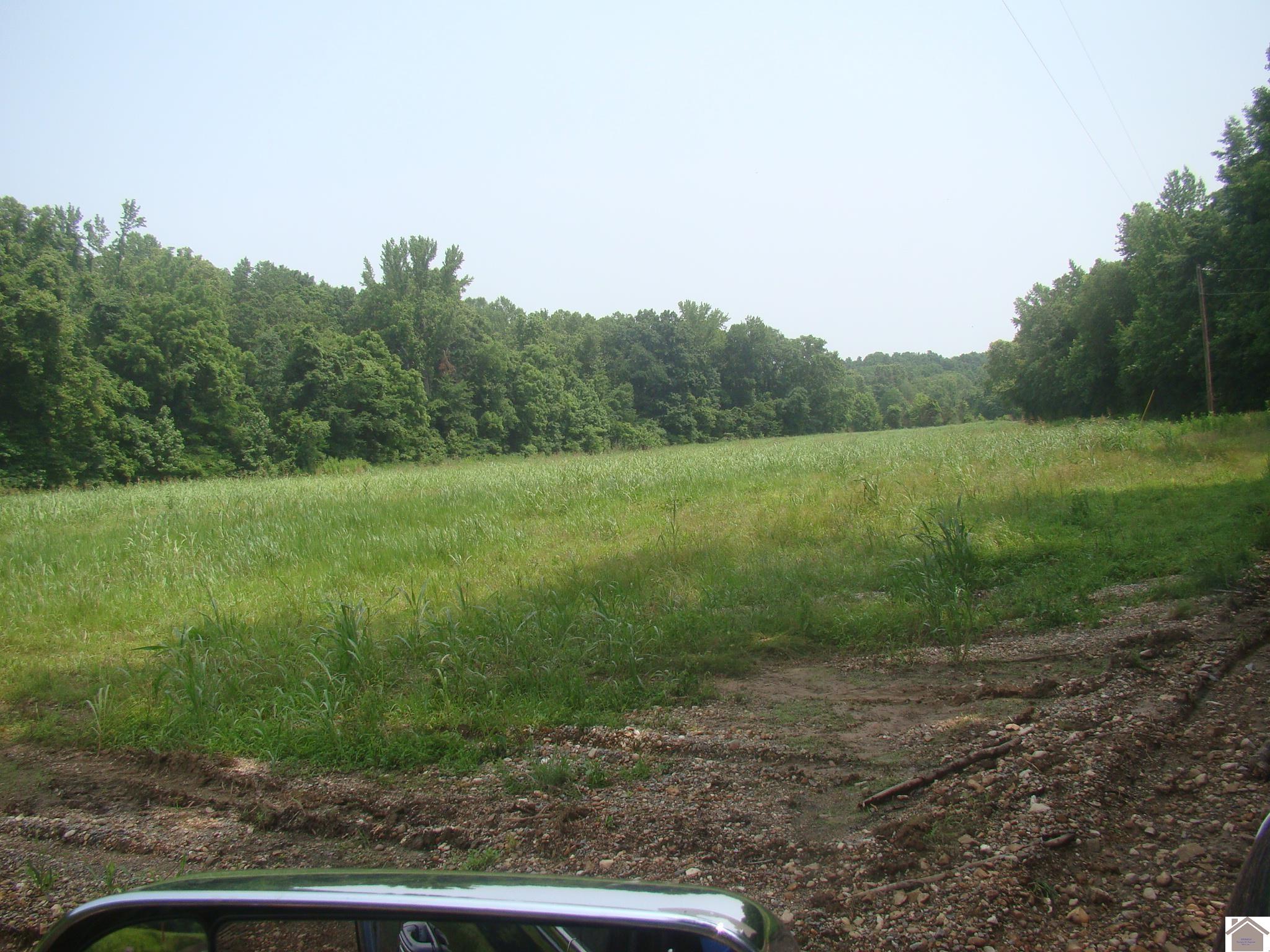 100 Howdy Doody Drive