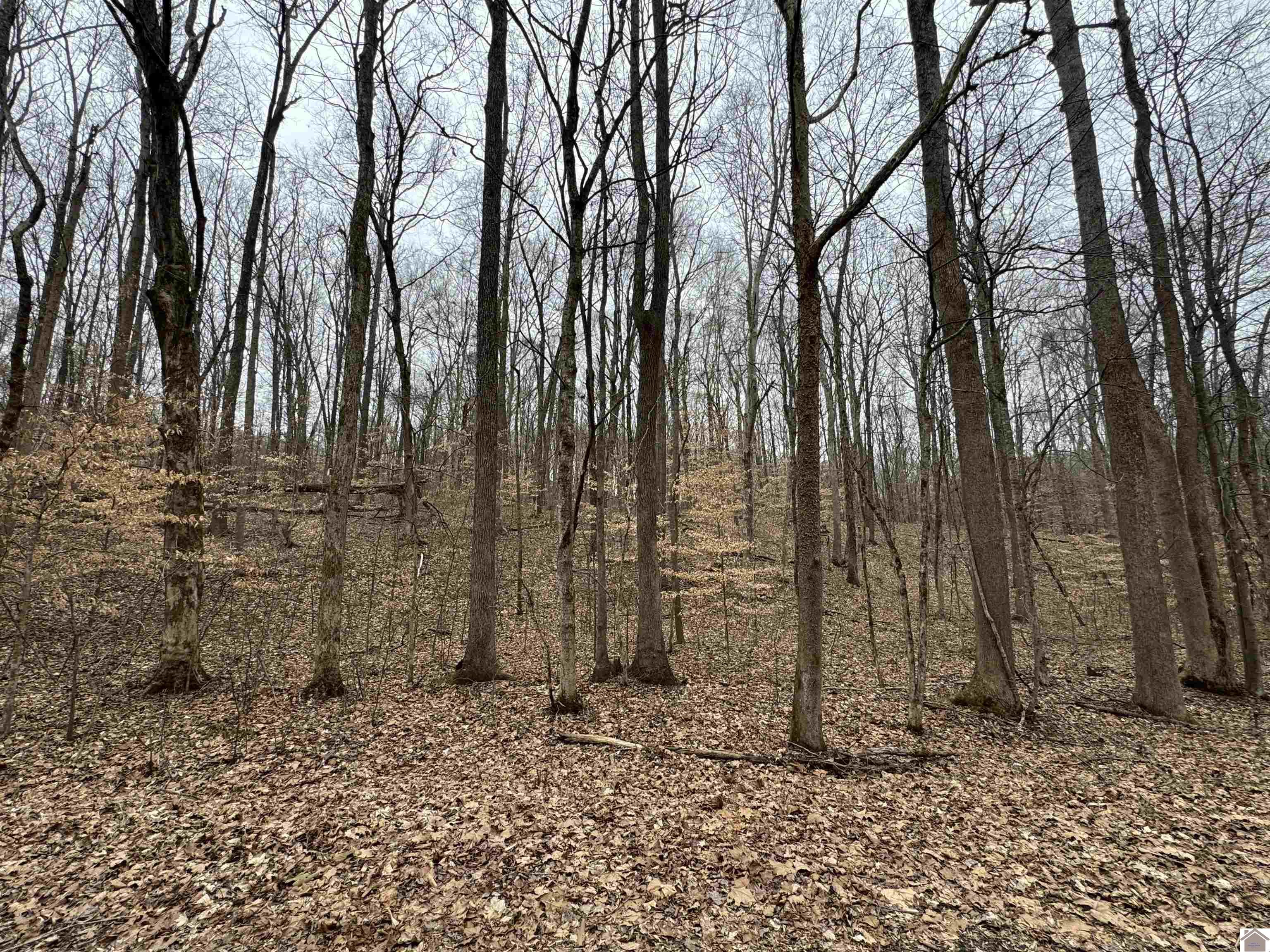 0 Periwinkle Hill Rd