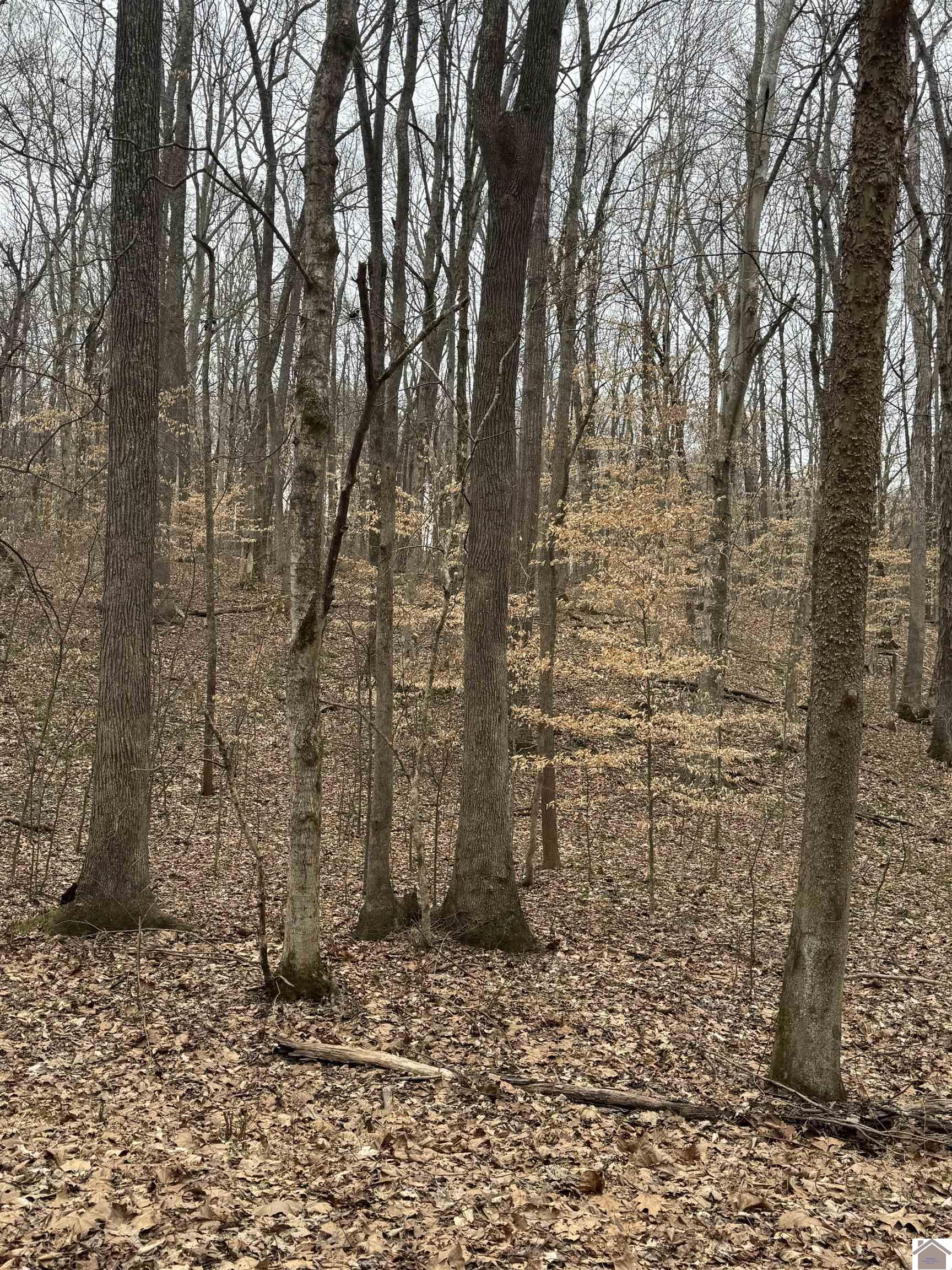 0 Periwinkle Hill Rd