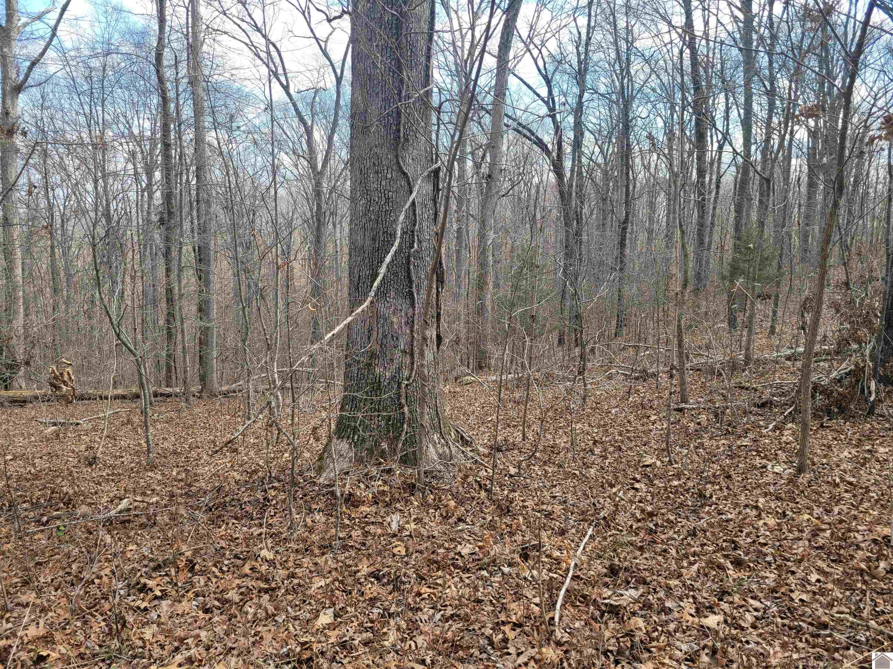 Lot 843 and 844 Sullivan Road