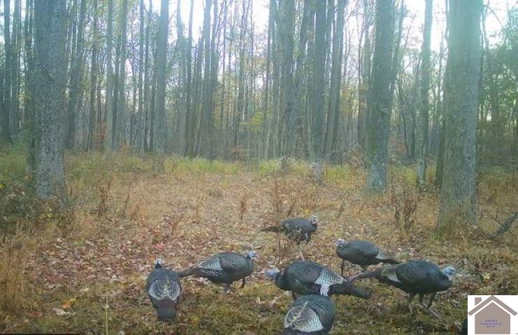 000 Sandy Branch Road