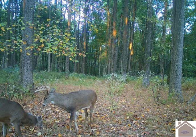 000 Sandy Branch Road