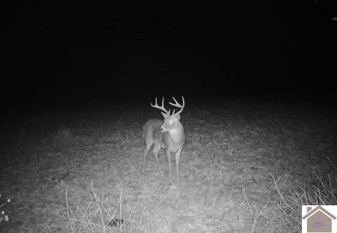 000 Sandy Branch Road